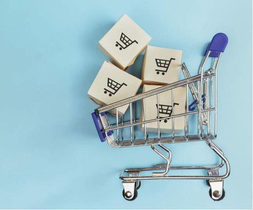 市場細分驅動下的得物 深化經營現狀、挑戰與未來電商平臺突破之路